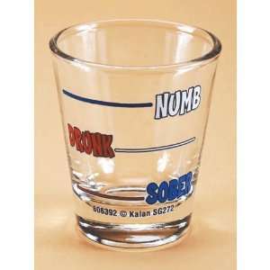  Numb Drunk Sober Shot Glass 