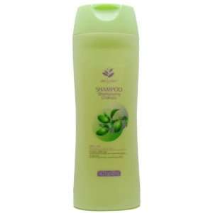    Olive Oil Shampoo for Soft Shiny Hair Case Pack 96   535507 Beauty