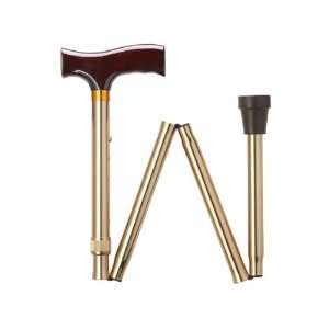  Simply Solid Bronze Folding Cane