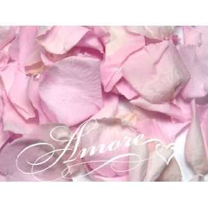 lb Wedding Freeze Dried Rose Petals Double Pink 2000 Petals/80 Cups 