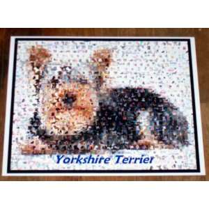  Yorkshire Terrier Dog Montage 