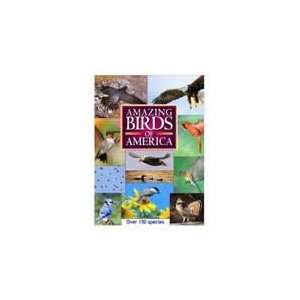   Birds Of America DVD   for beginning and advanced birders alike