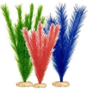  Plant   Multipack Soft Foxtail Cluster (Catalog Category 