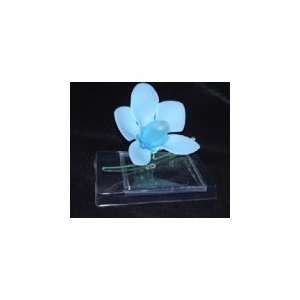 Womens Designer Perfume By Pupa, ( Pupa Orchidea Perfume Blue Ciel EAU 