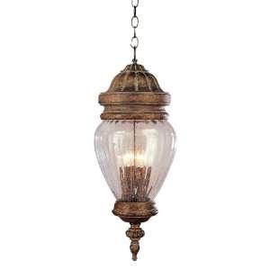 TransGlobe Lighting Outdoor 4445 4 Lt Outdoor Hanger Seeded Ribbed 
