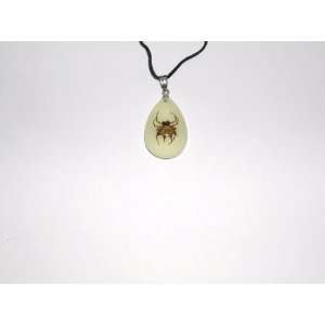  Glow in the dark Real Insect Necklace   Spiny Spider 