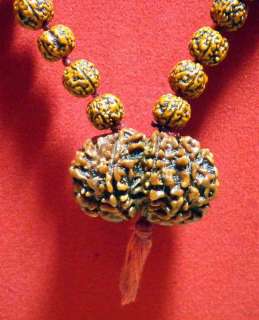   Rudraksha mala 6mm With Gauri Shankar 108+1 Beads   