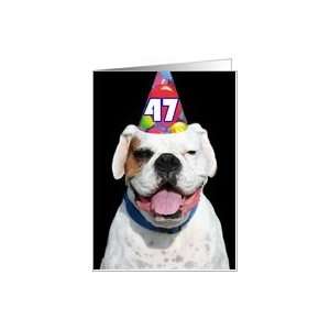  47th Birthday Party Invitation Boxer Card Toys & Games