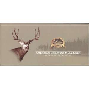  Americas Greatest Mule Deer Notecard Collection Office 