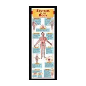  Quality value Systems Of The Body Colossal Poster By 
