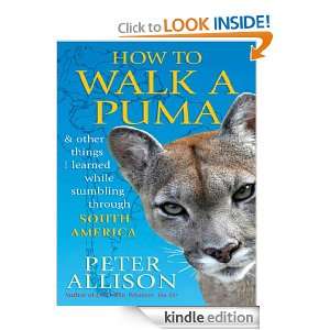   Puma & other things I learned while stumbling through South America