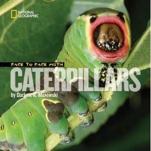  Face to Face with Caterpillars (Face to Face with Animals 