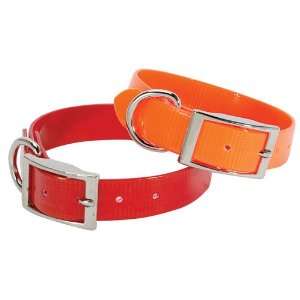  Sunglo Regular Collar 1 inch Wide Orange 23 inch Pet 