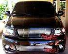   Ford F 150 Bumper Stainless Steel Tubular Grille (Fits Ford Lightning