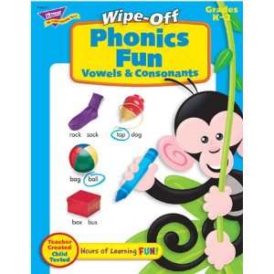  Phonics Fun Vowels 28Pg Wipe Off