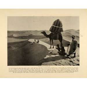  1921 Print Sahara Nomads Desert Camel Plateau Animal 