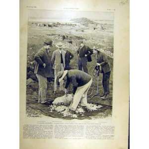  1904 De Wett Sheep Shearing Wool Farm French Print