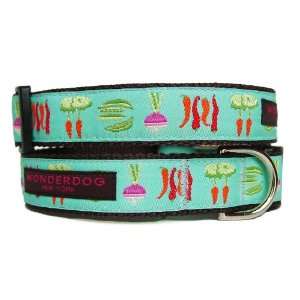  Veggie Collar   Turquoise   Small 10 15 X 1 Pet 