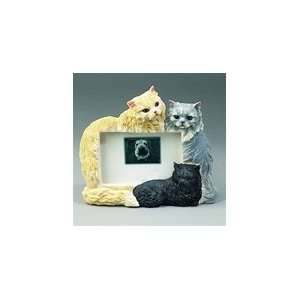  Multicolor Persian Cats Frame