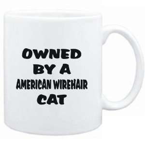    Mug White  OWNED by s American Wirehair  Cats