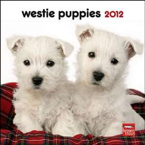 Westie Puppies 2012 Mini Wall Calendar