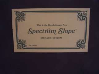 Vintage Martin Spectrum Slope Speakers  