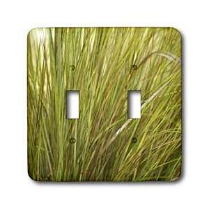  Florene Nature   Wild Grass   Light Switch Covers   double 