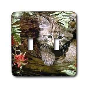  Wild animals   Bobcat   Light Switch Covers   double 