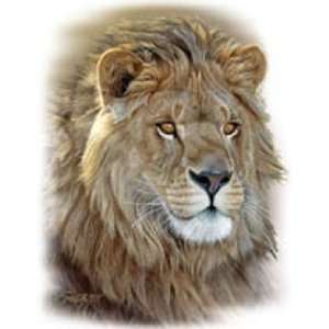  T shirts Animals Wildlife Lion Portrait 3xl Everything 
