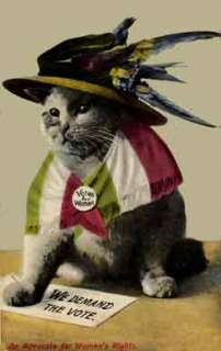 Suffragette Cat Votes For Woman Postcard Print  
