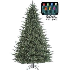  9 x 61 Asheville Fraser Realistic Tree, LED, Multi Color 