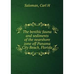   nearshore zone off Panama City Beach, Florida Carl H Saloman Books