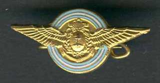 ARGENTINA RARE BEAUTY VINTAGE MILITARY WINGS PIN BADGE  