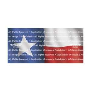  Window Graphic   30x65 Texas Flag 