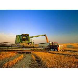Farmer Unloading Wheat from Combine Near Colfax, Washington, USA 
