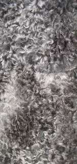 New Karakul Grey Lamb Swakara natural Fur Scarf #7237  