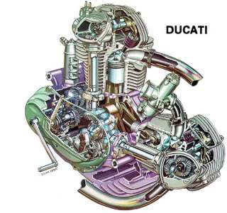Ducati 750GT / Sport bevel POLISHED STAINLESS BOLT KIT  