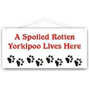 Spoiled Rotten Yorkipoo Lives Here