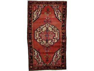 SALE 5 4 x 9 3 Shiraz Persian Area Rug Carpet FREE S&H  