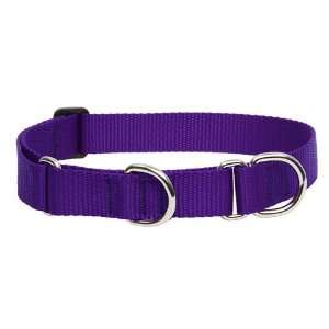  1 Purple 15 22 Combo Collar