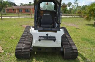   to see this bobcat in person we are located in west palm beach florida