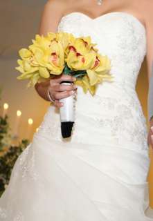 Pronovias Laica Wedding Dress  Ivory  Size Small  
