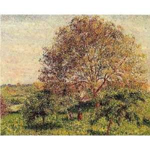   24x36 Inch, painting name Walnut Tree in Spring, by Pissarro Camille