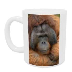  Benjamin the Orangutan at Dudley Zoo.   Mug   Standard 