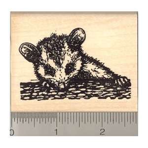  Large Baby Opossum Rubber Stamp Arts, Crafts & Sewing