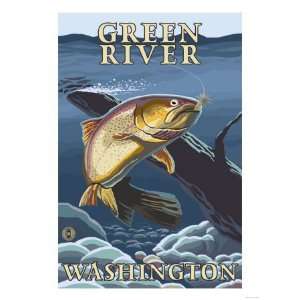 Trout Fishing Cross Section, Green River, Washington Giclee Poster 