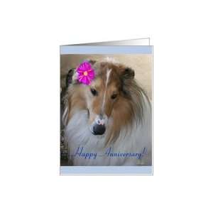 Happy Anniversary, From couple, Beautiful Collie Dog with Flower Card