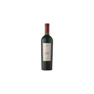  2009 Cruz Malbec Andina 750ml Grocery & Gourmet Food