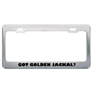  Got Golden Jackal? Animals Pets Metal License Plate Frame 