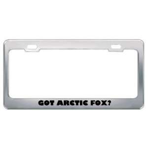 Got Arctic Fox? Animals Pets Metal License Plate Frame Holder Border 